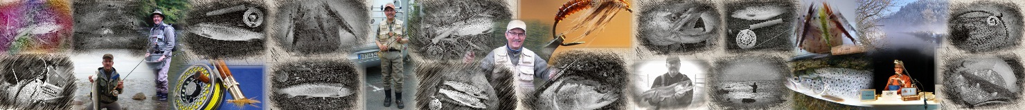 Forum f�r Fliegenfischer