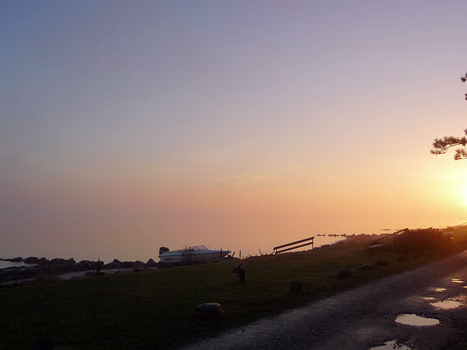 Fünen 2010_November