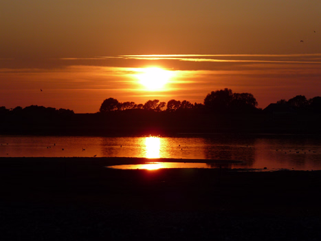 Insel Langeland 2009_Mai