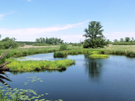 3. Schwedt an der Oder