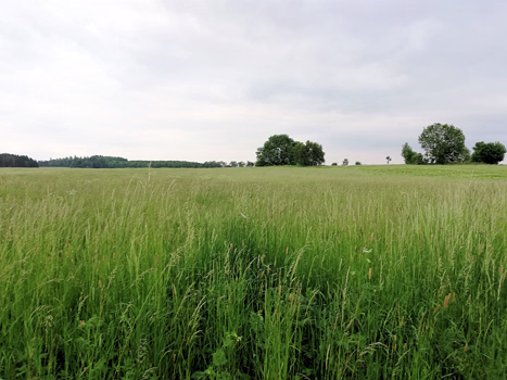 Deutschlands Osten 2019