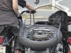 Rundreise_2015_1076 Rundreise_2015_1076