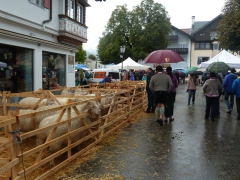 Rundreise_2015_1213 Rundreise_2015_1213