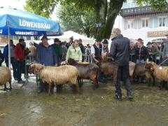 Rundreise_2015_1223 Rundreise_2015_1223