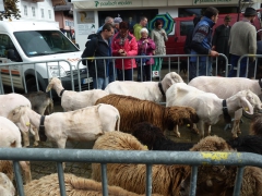 Rundreise_2015_1225 Rundreise_2015_1225