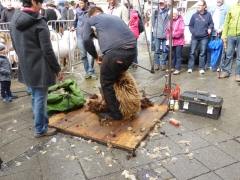 Rundreise_2015_1228 Rundreise_2015_1228