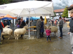 Rundreise_2015_1234 Rundreise_2015_1234