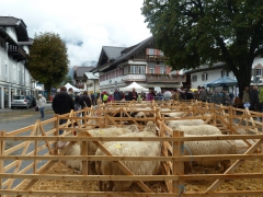 Rundreise_2015_1240 Rundreise_2015_1240