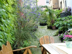 Rundreise_2015_1441 Rundreise_2015_1441