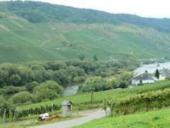 Rundreise_2015_1459 Rundreise_2015_1459