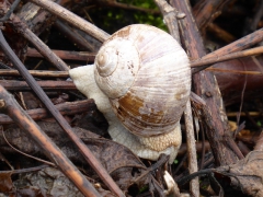 Rundreise_2015_1462 Rundreise_2015_1462