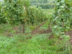 Rundreise_2015_1463 Rundreise_2015_1463