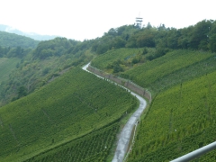 Rundreise_2015_1515 Rundreise_2015_1515
