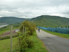 Rundreise_2015_1529 Rundreise_2015_1529