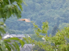 Rundreise_2015_1533 Rundreise_2015_1533