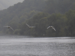 Rundreise_2015_1541 Rundreise_2015_1541