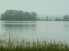 IMG_20150725_182230_1