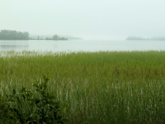 IMG_20150725_182625_1