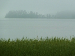 IMG_20150725_182639_1