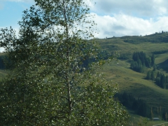Rundreise_2015_0194 Rundreise_2015_0194