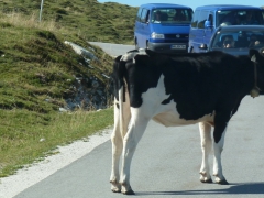 Rundreise_2015_0198 Rundreise_2015_0198