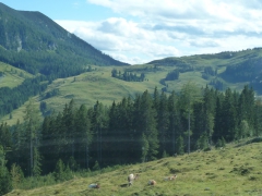 Rundreise_2015_0205 Rundreise_2015_0205