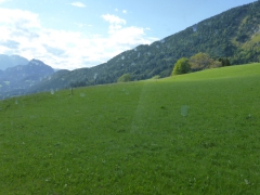 Rundreise_2015_0226 Rundreise_2015_0226