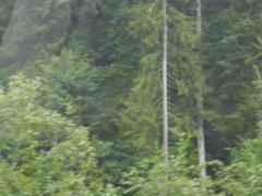 Rundreise_2015_0554 Rundreise_2015_0554
