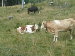 Rundreise_2015_0604 Rundreise_2015_0604